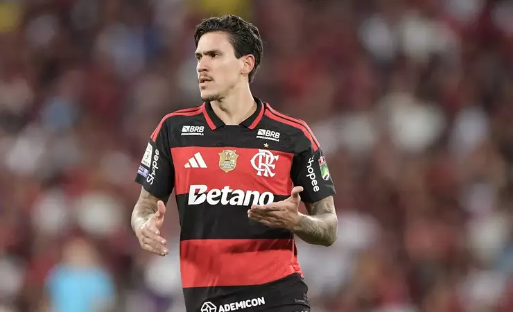 Flamengo volta ao Brasileirão contra a Chapecoense com desfalques e foco na vitória